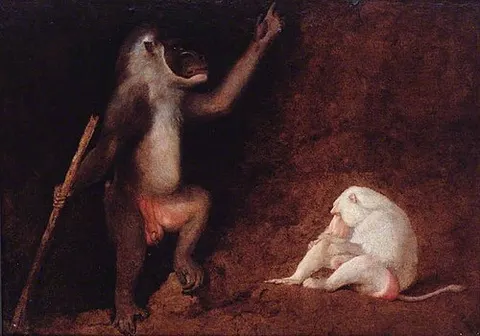 Drill and Albino Baboon