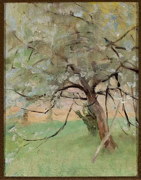 Apple tree