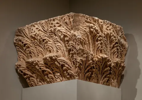 Engaged Capital with Windblown Acanthus
