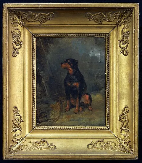 Dog Study