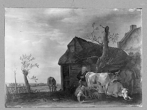 milking-scene