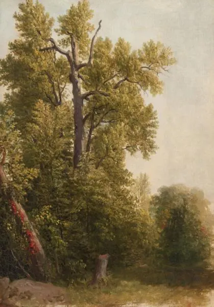 Study from Nature, Hoboken, New Jersey