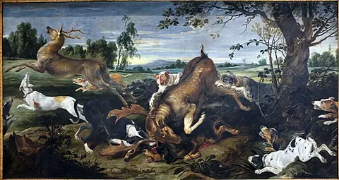 caccia al cervo