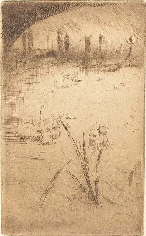 Swan and Iris