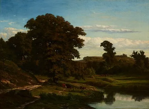 The Pond