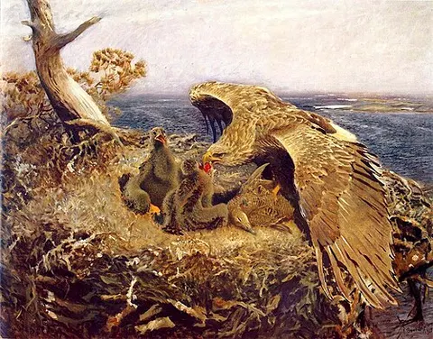 Sea Eagle's Nest