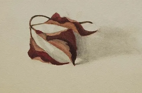 Untitled (Curled Autumn Leaves)
