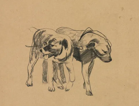 Two Dogs