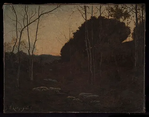 Clairière en forêt, Fontainebleau