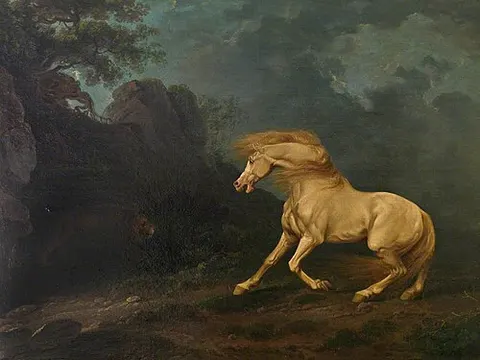 A Stallion Surprised by a Lion