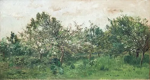 Meadow with Blossoming Fruit Tree