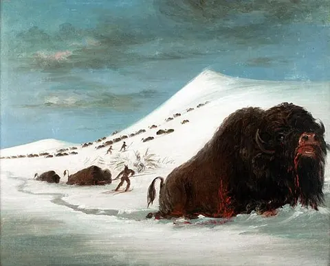 Buffalo Hunt in Snow Shoes
