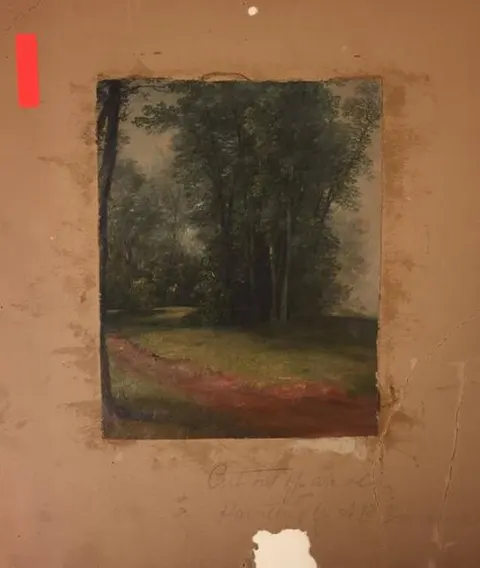 Trees by a Meadow