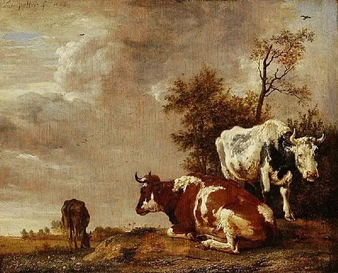 Three Cows on a Pasture