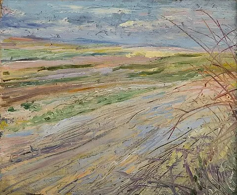 Landscape – view of fields