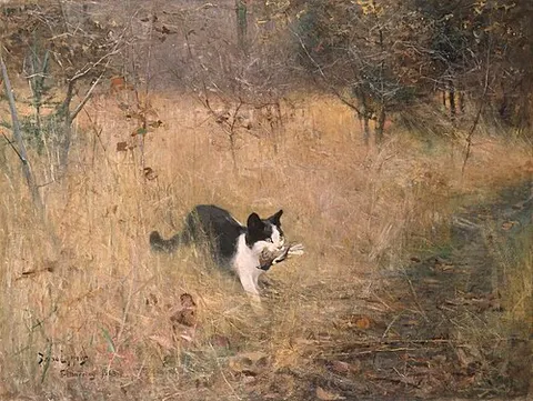 Cat Hunting Birds