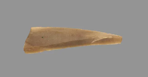 Sickle Blade