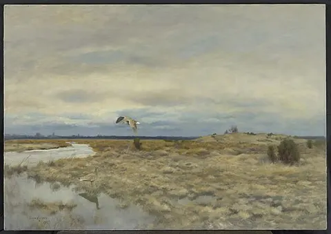 Two curlews in a peat landscape