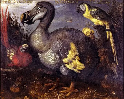The Dodo