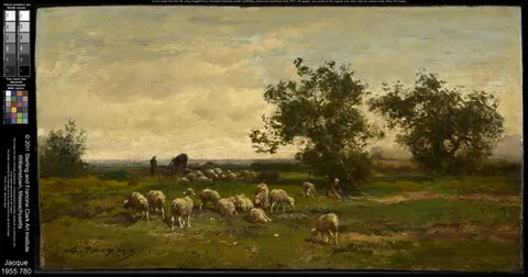 Landscape with Sheep