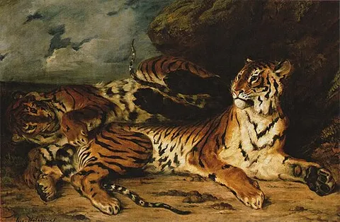 Jeune tigre jouant avec sa mère