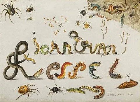 Garden and house spiders with grass snakes and caterpillars contorted and entwined to spell the artist's name