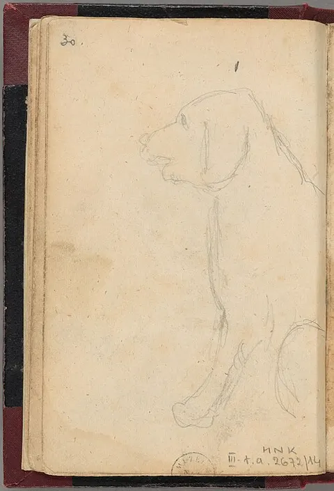 Drawing of a sitting dog