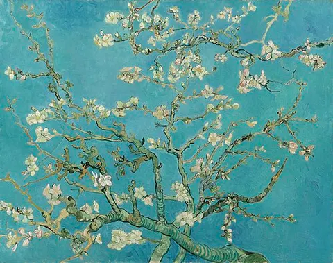 Almendro en flor