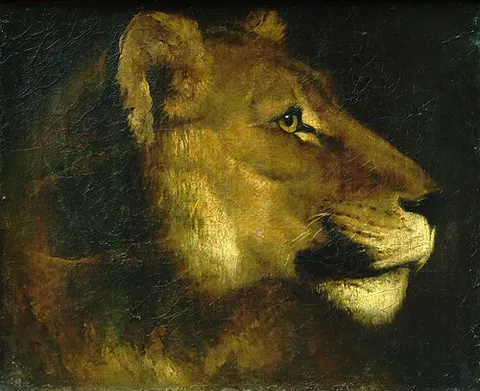 Head of a lion