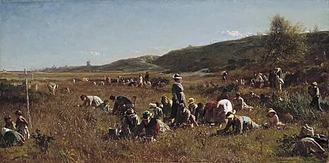 The Cranberry Harvest, Island of Nantucket