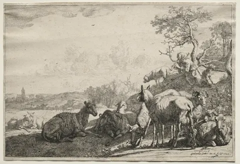 The Shepherd