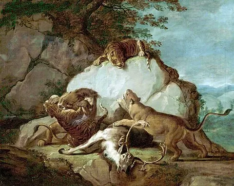 Lions and Tigers Fighting over a Stag