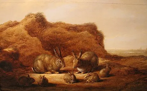Paisaje