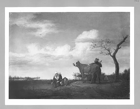 bull on the meadow