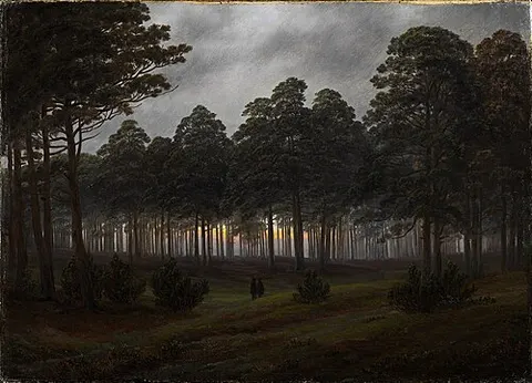Daytime cycle: The Evening