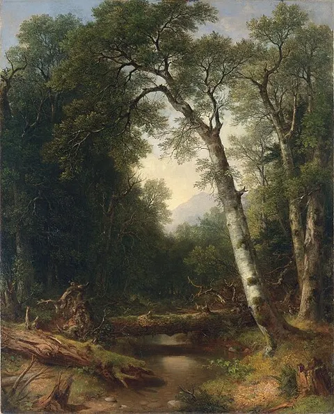 Un arroyo en el bosque
