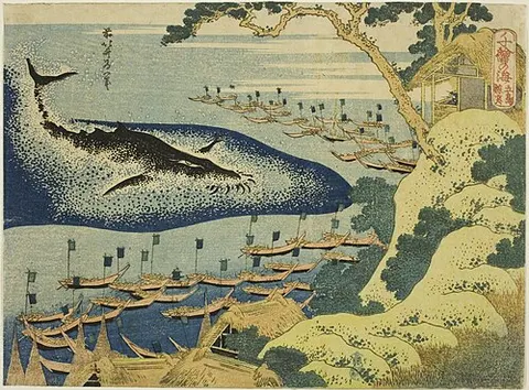 Oceans of Wisdom