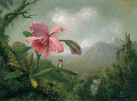 Orquídea y colibrí cerca de una cascada de montaña