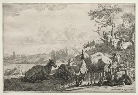 The Shepherd