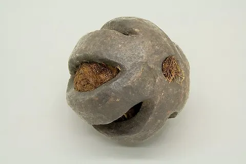 Cannon Ball