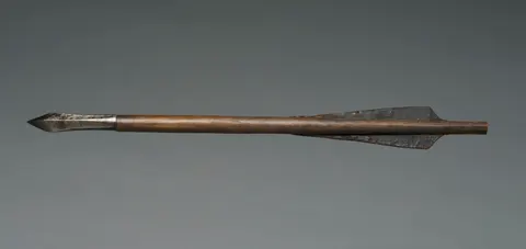 Crossbow Bolt