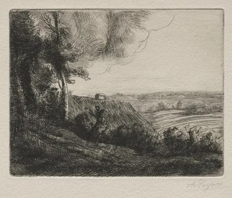 Landscape