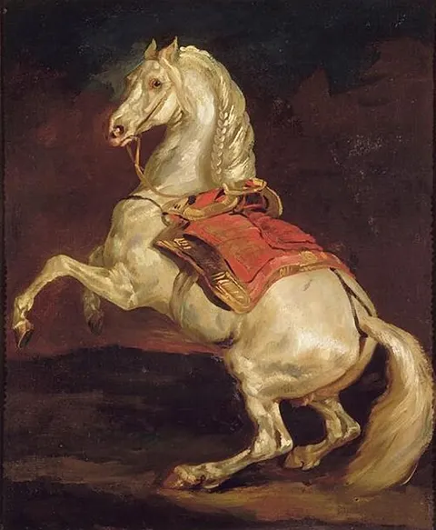 Cheval Cabré au Tapis de Selle Rouge
