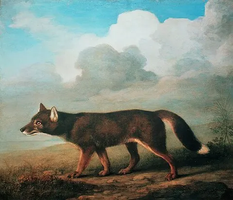 Portrait of a Large Dog